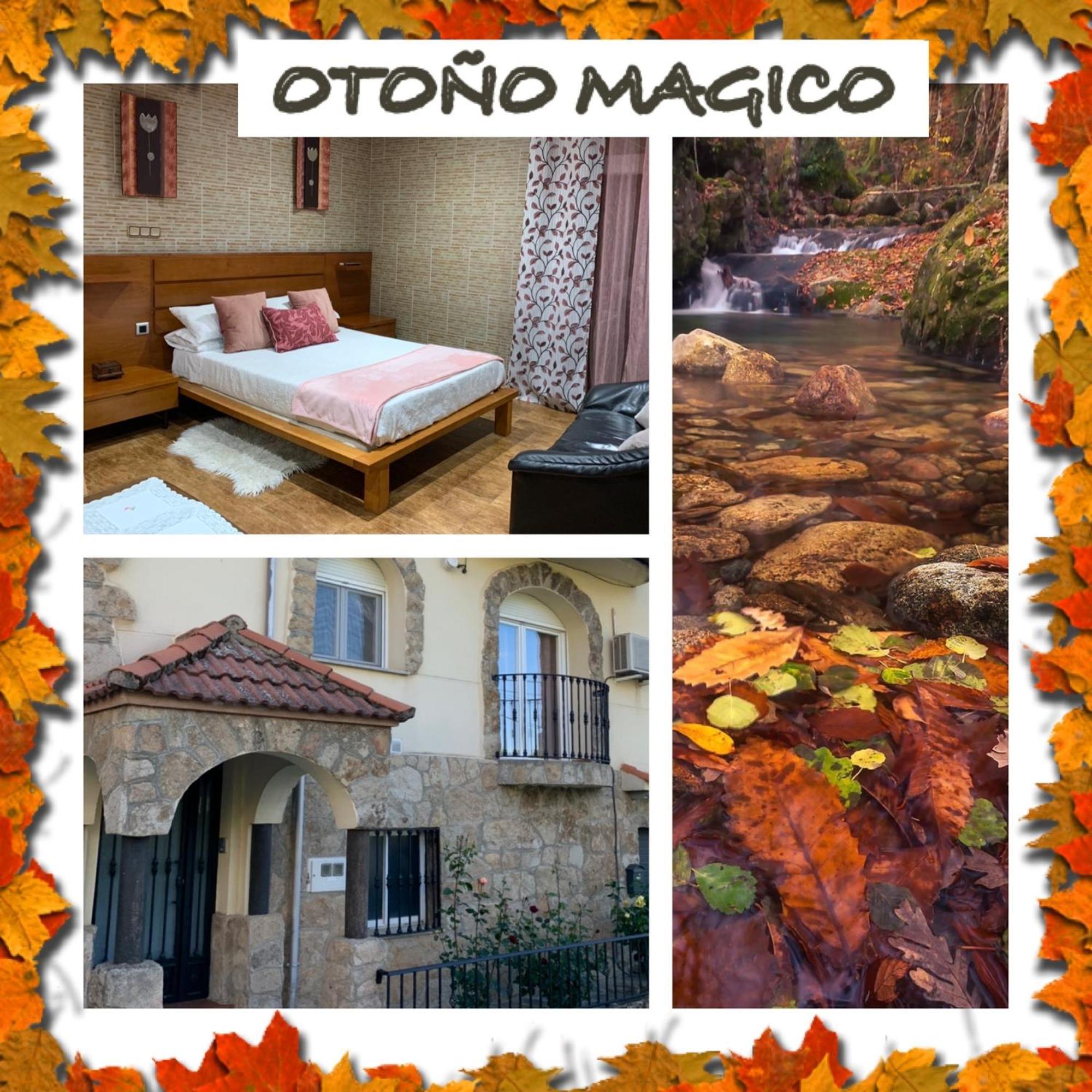 Apartment Rural Fragaria